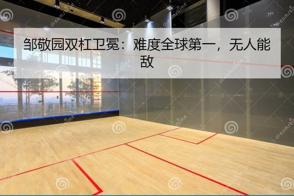 邹敬园双杠卫冕：难度全球第一，无人能敌